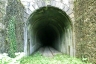 Sasso Tagliato Tunnel