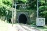 Signorino Tunnel