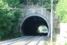Tana Tunnel