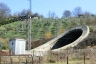 Terranuova-Le Ville Tunnel