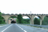 Viaduc d'Urbino