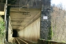 Tunnel du Vedrignano