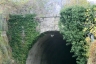 Fontevecchia Tunnel