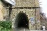 Tunnel Daino