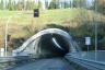 Campiano Tunnel