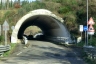 Dannati Tunnel