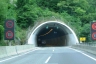 Golo Rebro Tunnel