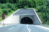 Tunnel de Golovec