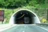 Pletovarje Tunnel