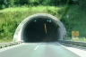 Tunnel Trojane