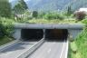 Moste Tunnel