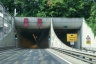 Tunnel de Šentvid