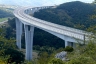 Črni Kal-Viadukt