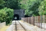 Tunnel Kostanjevica I