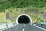 Tunnel Podnanos