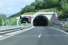 Rebernice 1 Tunnel