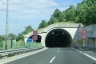 Rebernice 2 Tunnel