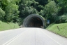 Tunnel de Castellon