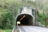 Ponte Pietra Tunnel