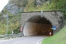 Pregasina Tunnel