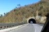 Cardetole Tunnel