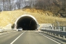 Craviale Tunnel
