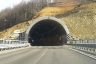 Tunnel de La Turina