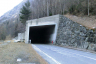 Tunnel de La Rioulaz