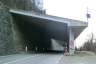 Tzanadoila Tunnel