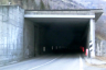 Bioley Tunnel