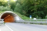 Fogneto I Tunnel