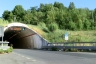 Marcignano Tunnel