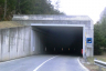 Tunnel de Grand Bois