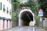Ruta Tunnel