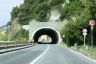 Tortuga Tunnel