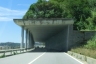 Vesima Tunnel