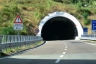 Piscopio II Tunnel