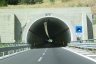 Giulia Tunnel