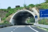 Tunnel de Guarino