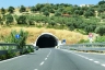 Pantalogna Tunnel