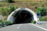 Pergola Tunnel