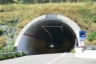 Tunnel de Trigoni