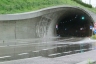 Burgfrieden Tunnel