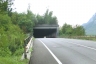 Tunnel de Carnia
