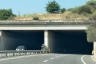 Tunnel de Marreri