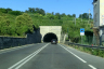 Montagnola-Tunnel