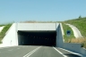 Casabona Tunnel