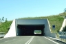 Tunnel Costa Martini