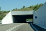 Tunnel de Le Vigne
