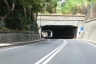 Dogana Tunnel